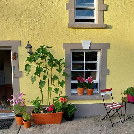 Felicity Cottage Kiltegan Екстериор снимка