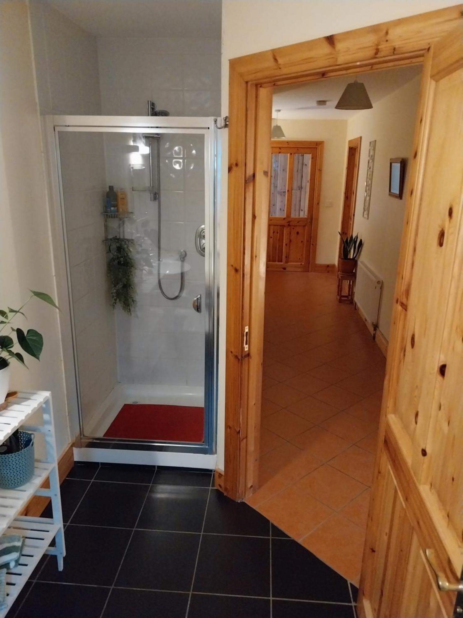 Felicity Cottage Kiltegan Екстериор снимка